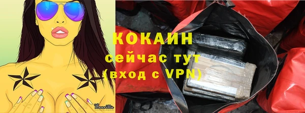 гидра Аркадак