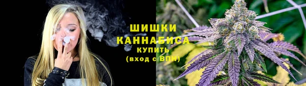 гидра Аркадак