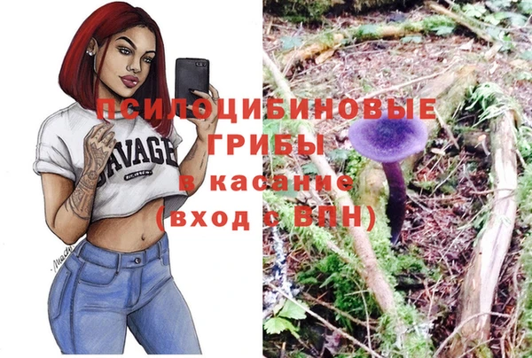 спиды Арсеньев