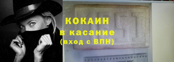 гидра Аркадак