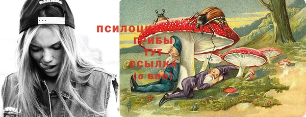 гидра Аркадак