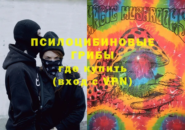 спиды Арсеньев
