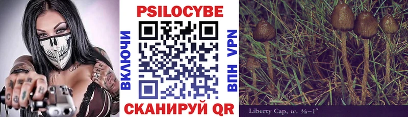 Галлюциногенные грибы прущие грибы  Гаврилов Посад 